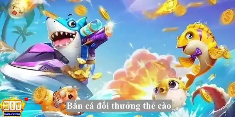 ban ca doi thuong the cao
