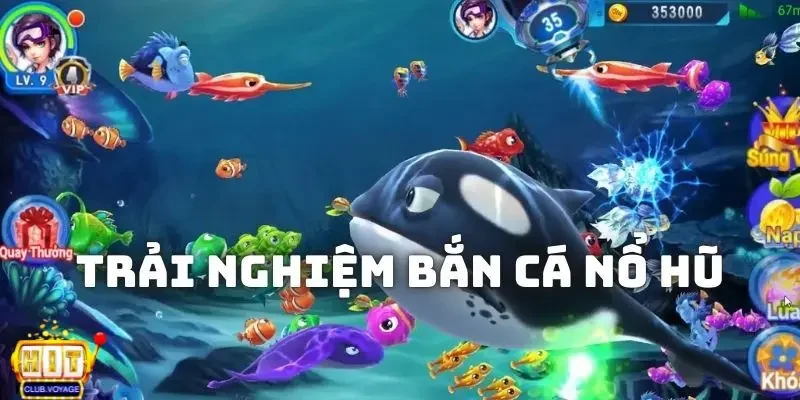 ban ca no hu